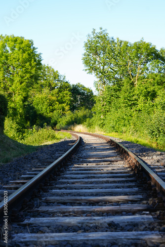 Railway tracks in nature. 