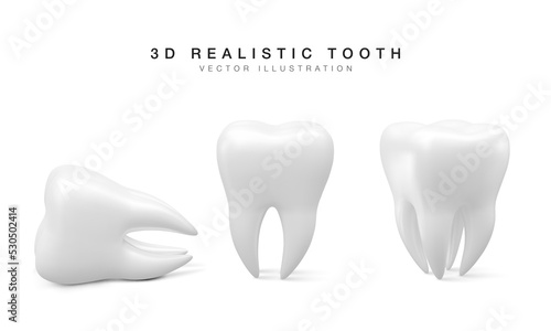 Set of white tooth in different position isolated on white background. Concept of dental examination of teeth, dental health and hygiene. Vector illustration