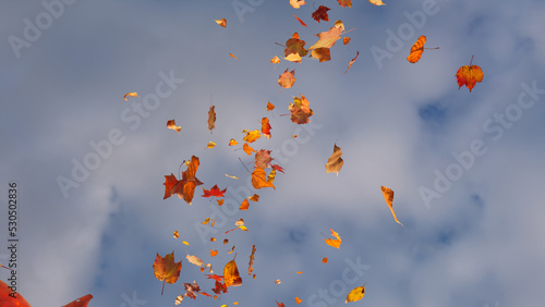 Seasonal Wallpaper with Fall Leaves blowing in the wind. Cloudy Sky Banner with copy-space.