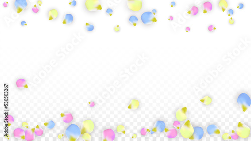 Vector Realistic Colorful Petals Falling on Transparent Background.  Spring Romantic Flowers Illustration. Flying Petals. Sakura Spa Design. Blossom Confetti. Design Elements for Wedding Decoration.