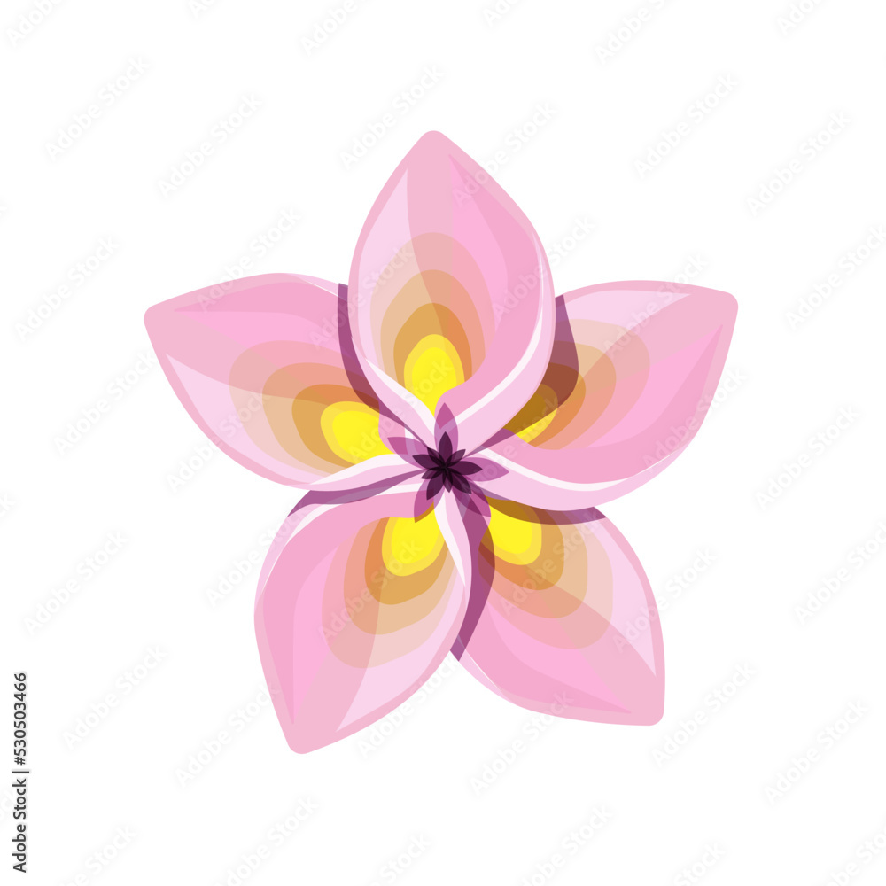 A beautiful plumeria flower isolated on a white background.Vector flower for postcards,textiles.
