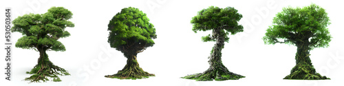fairy-tale trees, collection of giant epic world trees photo