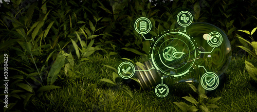 Sustainable business or green company  illustration. light Bulb Concept with connected icons related to environmental protection and eco sustainability in an organization. nature background photo