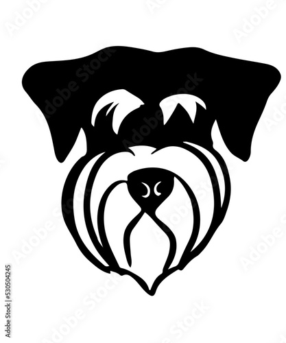 vector of head of miniature schnauzer 