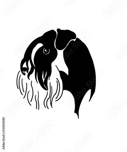 vector of head of miniature schnauzer 