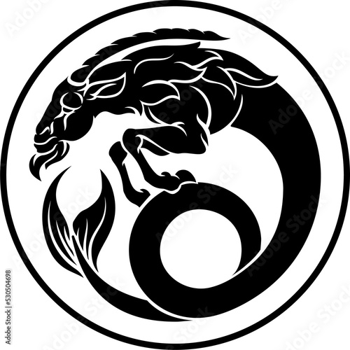 Capricorn Zodiac Horoscope ...