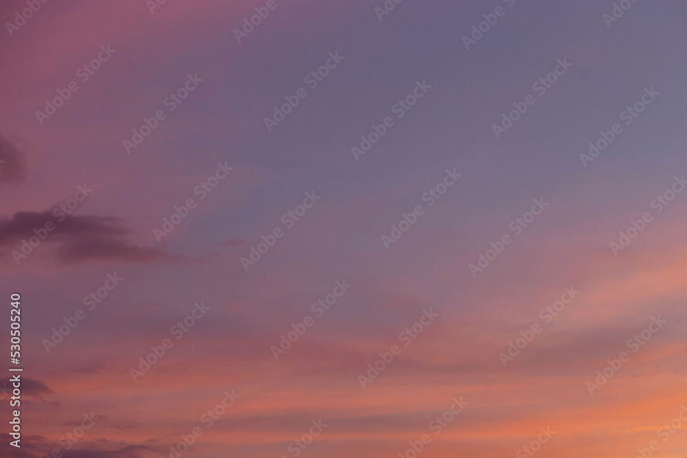 Fototapeta premium Cloudy pink-purple sunset. Evening view. summer background