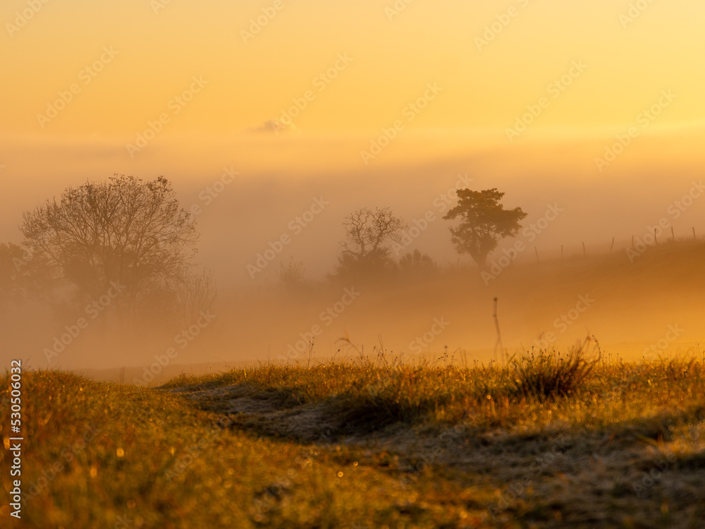 sunset in the fog sunset in the fog