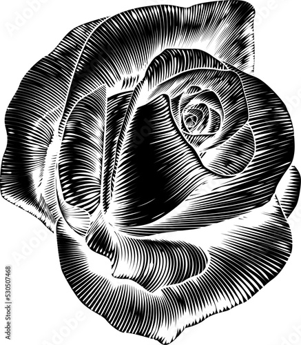 Vintage Rose Flower Etching...