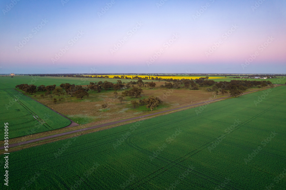 Dawn colours of the sky looking over the Mallee crops.