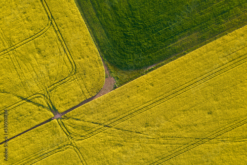 Looking down at canola field patterns in the Mallee.