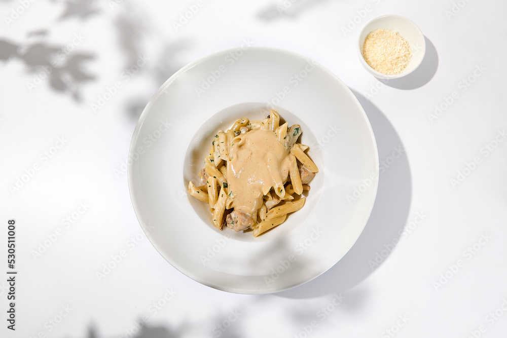 Italian pasta penne with chicken and mushrooms in creamy sauce. Mushroom and chicken pasta on white plate with shadows of sunlight. Summer italian lunch Penne with mushroom sauce on light background Italian pasta penne with chicken and mushrooms in creamy sauce. Mushroom and chicken pasta on white plate with shadows of sunlight. Summer italian lunch Penne with mushroom sauce on light background