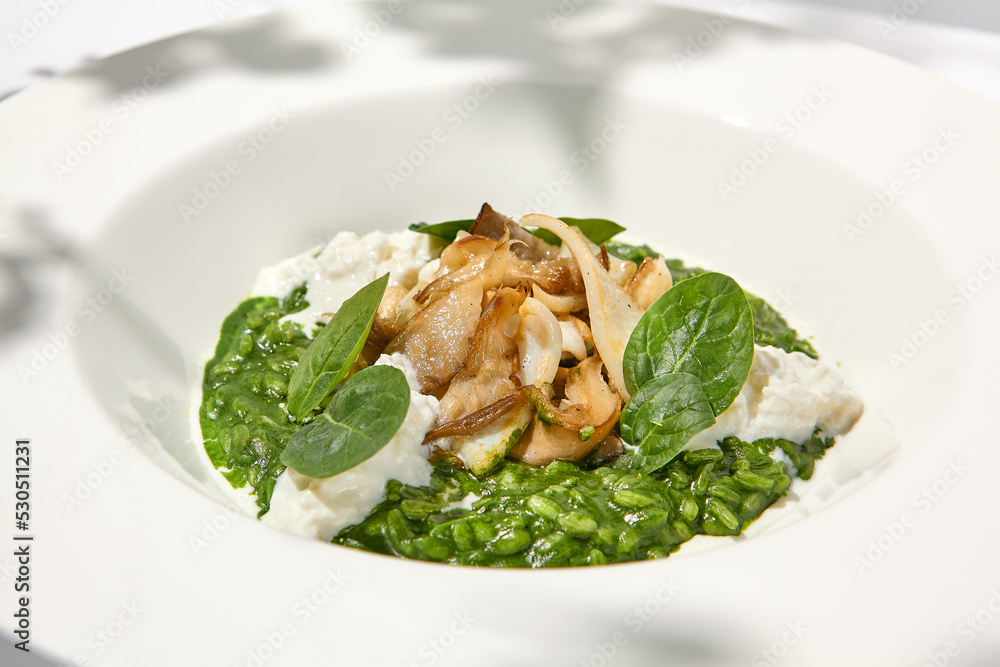 Green risotto with squid and stracciatella cheese on white plate. Creamy risotto with spinach, calamari and creamy cheese. Italian risotto with squid on light background with shadows of leaves Green risotto with squid and stracciatella cheese on white plate. Creamy risotto with spinach, calamari and creamy cheese. Italian risotto with squid on light background with shadows of leaves