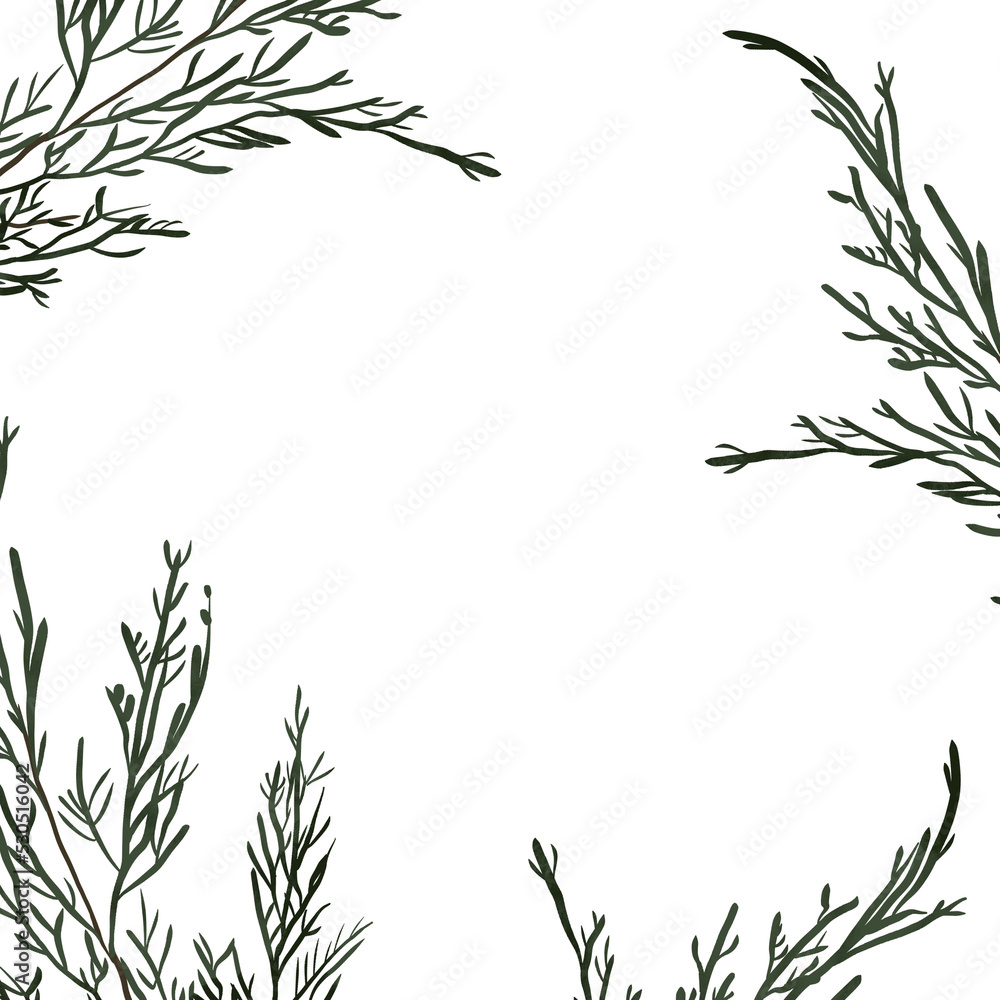 Christmas frame with fir, pine fir branches, hand drawn illustration, winter holiday frame.