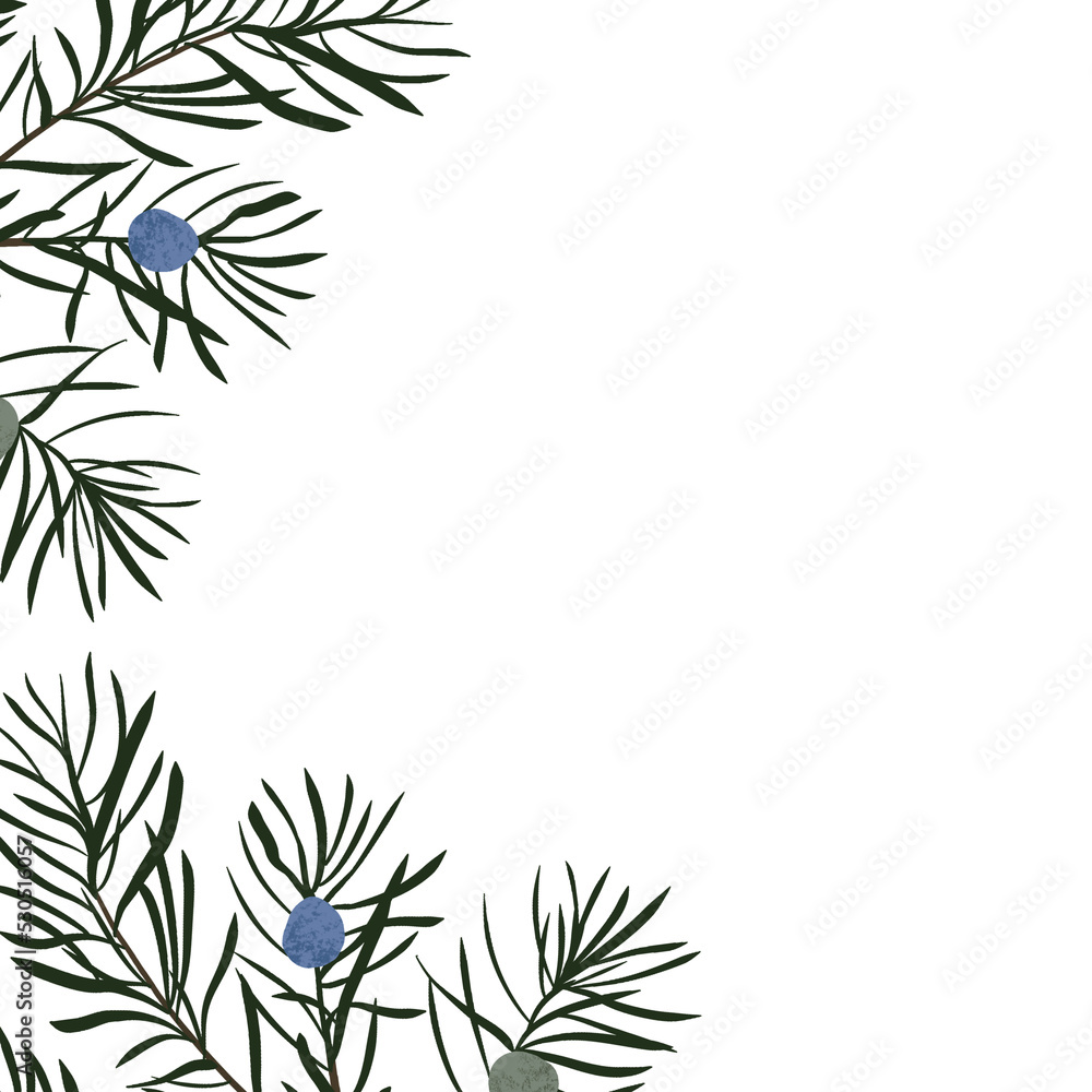 Naklejka premium Christmas frame with fir, pine fir branches, hand drawn illustration, winter holiday frame.