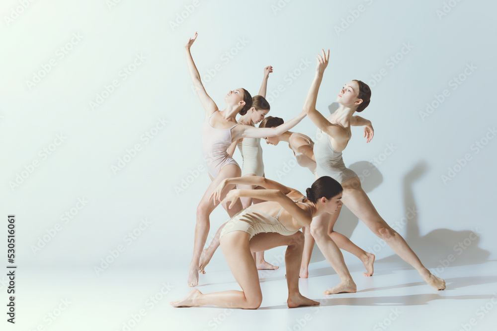 Obraz premium Group of young women, ballerinas dancing, performing in pastel bodysuits isolated over grey studio background