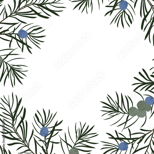 Christmas frame with fir  pine fir branches  hand drawn illustration  winter holiday frame.