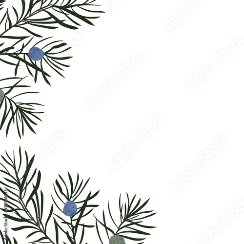 Christmas frame with fir, pine fir branches, hand drawn illustration, winter holiday frame. © Makarova Art