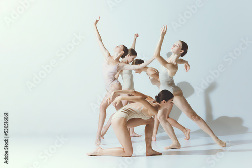 Group of young women, ballerinas dancing, performing in pastel bodysuits isolated over grey studio background