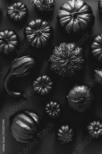 Different kinds of small pumpkins painted in black placed on dark background