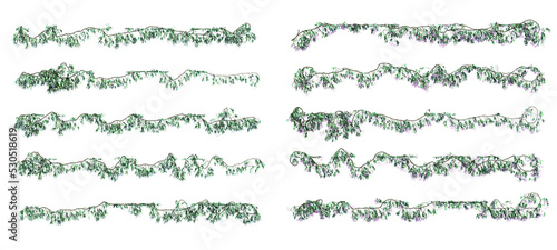 3d rendering of star jasmine creeping isolated