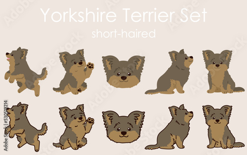 Simple and adorable Yorkshire Terrier illustrations set
