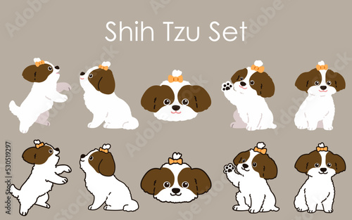 Fotografi Simple and adorable Shih Tzu illustrations set