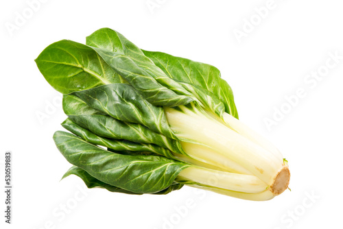 Fotografia Healthy vegetables - isolated fresh mangold plant