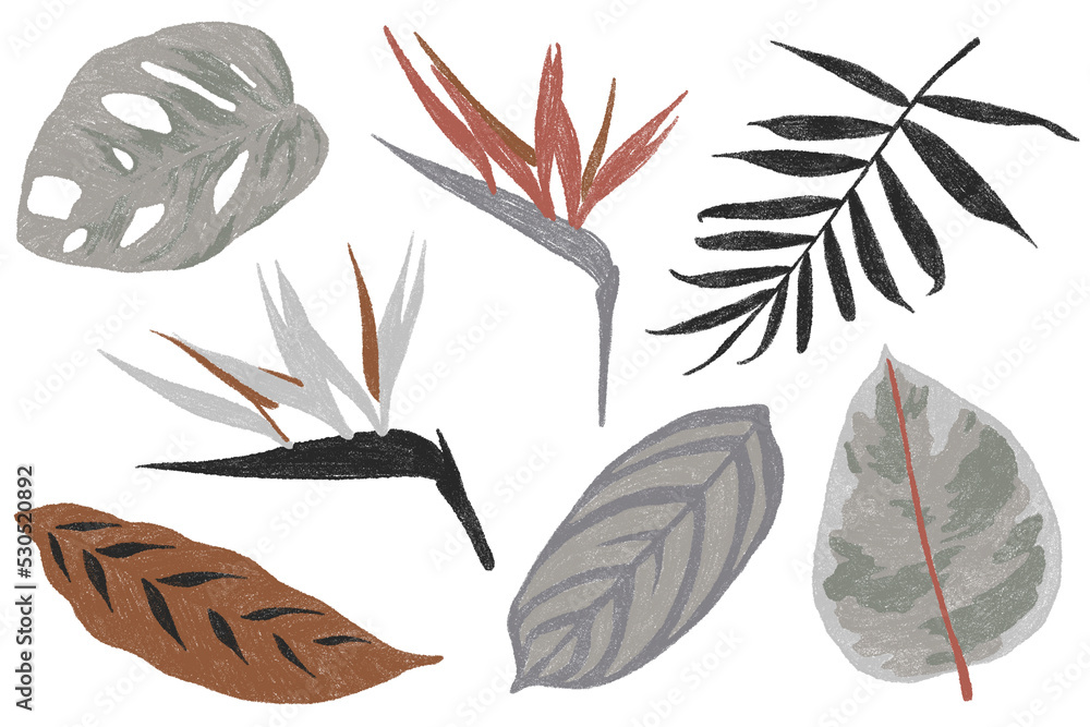 Hand drawn tropical leaves and exotic flowers isolated on transparent background Hand drawn tropical leaves and exotic flowers isolated on transparent background