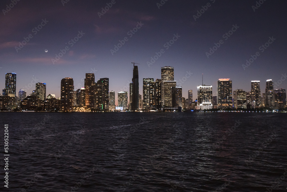 Obraz premium Downtown Miami skyline at night