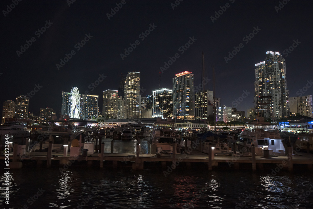 Downtown Miami skyline at night