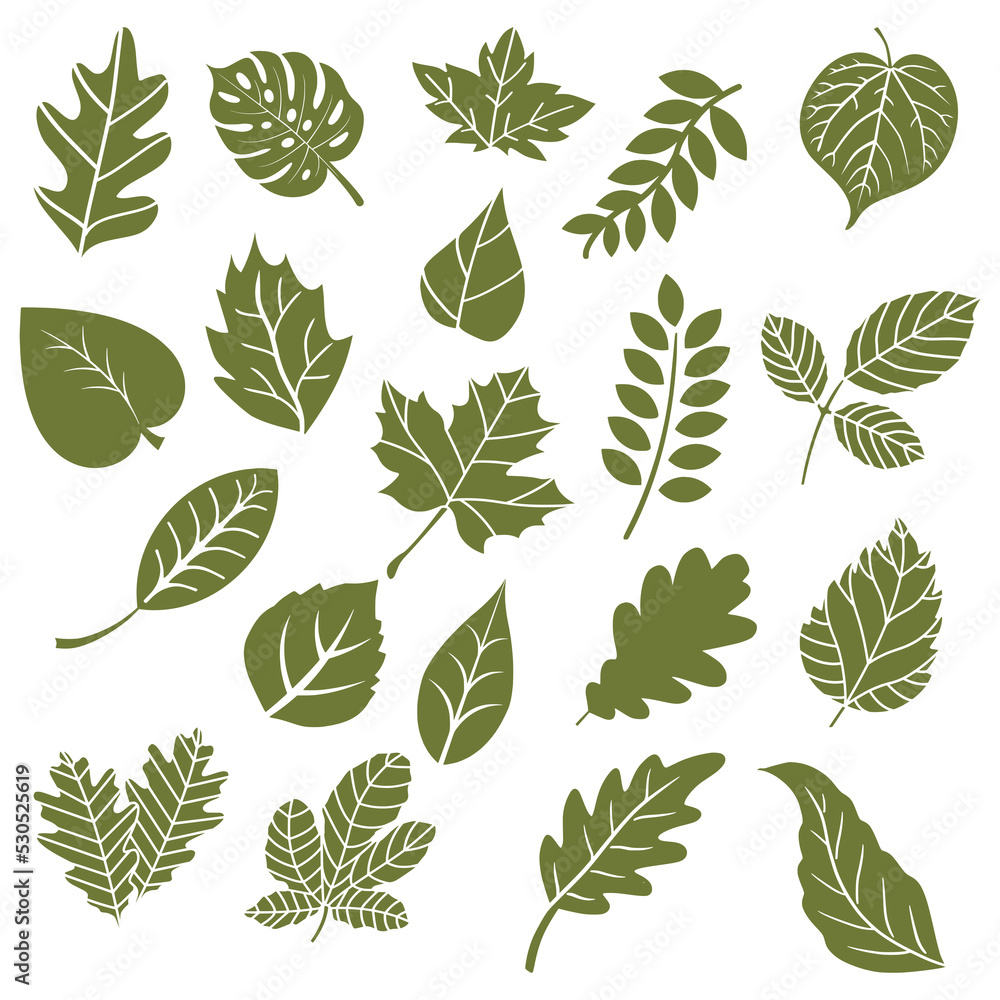 Set of many green leaves