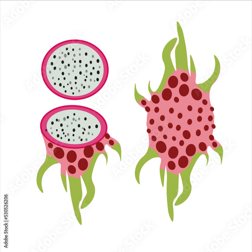 vector dragon fruit pitahaya