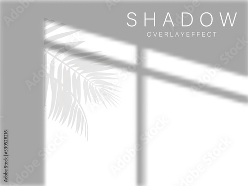 window and leaves shadow overlay design template vector realistic shadow overlay.