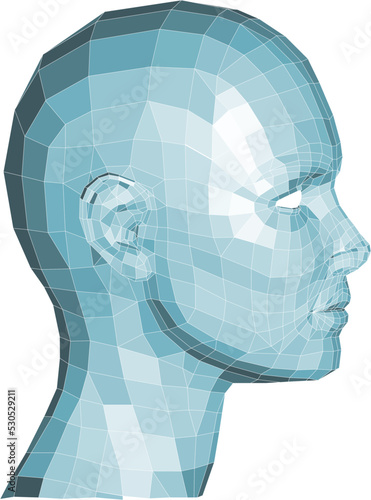 A face in wireframe 3d technology concept