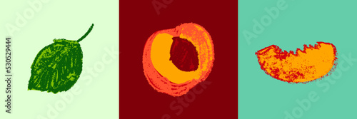 Peach icon isolated in vector. Color hand-drawn nectarine sketch. Yellow plum illustration for baby food logo, juice label design, vegan banner, fruity packaging. Apricot drawing for jam package.