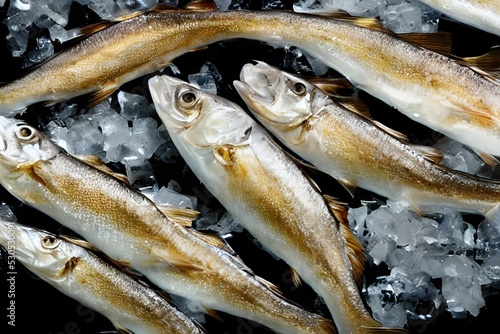 Foto Top shot of golden European smelt out of the water with pieces of ice