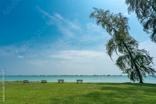 Εκτύπωση καμβά Beautiful shot of a coastline covered with a grass field and a tilted tree