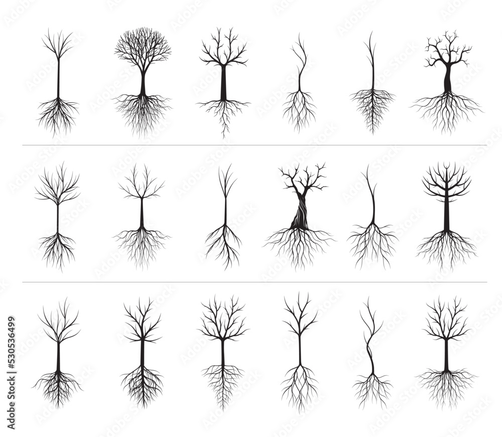 set of silhouettes of trees