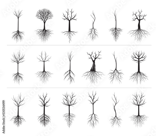 set of silhouettes of trees