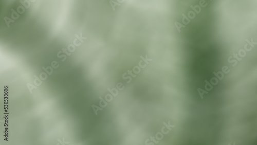 The leaf pattern abstract background of caladium colocasia esculenta bon tree has beautiful leaves with white-green gradient spots on leaves blurred with Filter and gradient and green margins are very