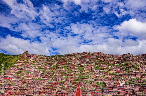 Canvastavla Beautiful view of the red color houses of the Larung Gar monastic center on the