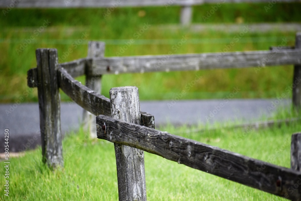 Fototapeta premium 芝生、放水栓、ゴルフ、フェアウェイ、ラフ、木製の柵