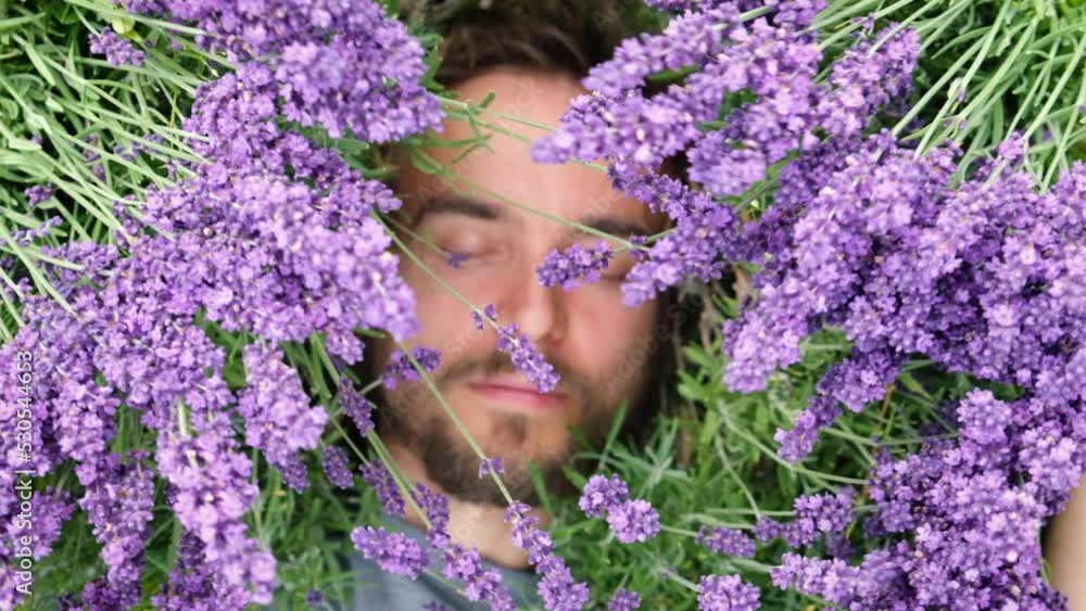 Close up portrait of young handsome bearded man lying among lavander flowers in blossom field. Happy smiling guy relax on the grass on sunny summer day. Freedom, cottagecore concept. Close up portrait of young handsome bearded man lying among lavander flowers in blossom field. Happy smiling guy relax on the grass on sunny summer day. Freedom, cottagecore concept.