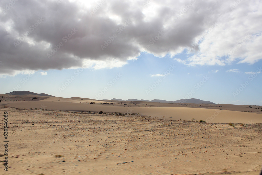 Desert in the Canary Islands. Fuerteventura island, Spain