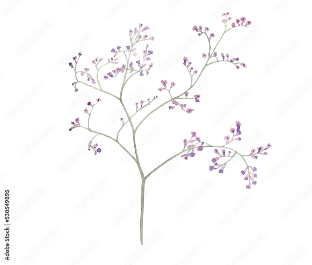 Amazing watercolor illustration of violet little flowers on branches for beautiful design on white isolated background. Watercolor limonium, vintage style.
