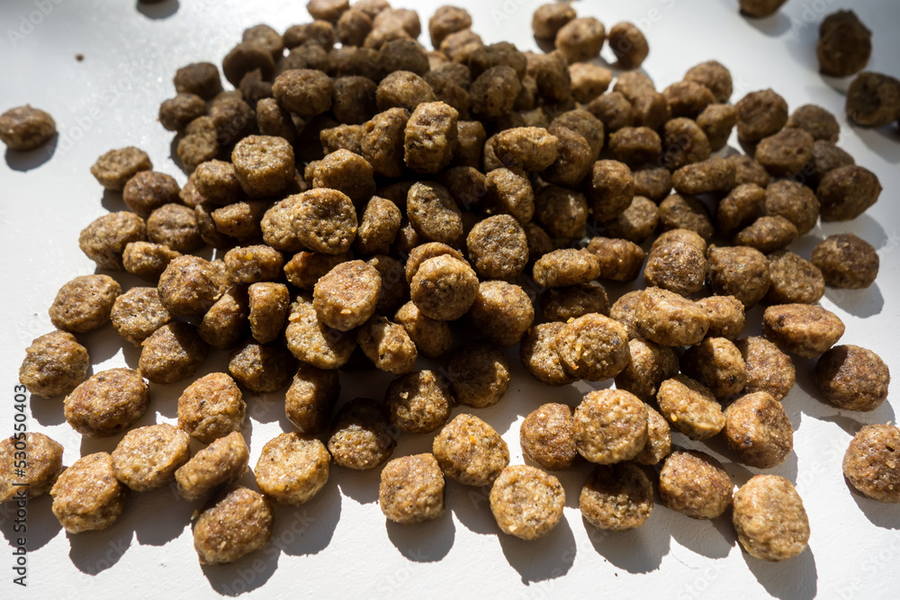 Obraz premium Pet food closeup isolated on white background