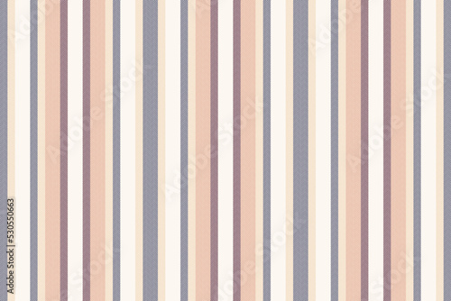 Vertical lines stripe background. Vector stripes pattern seamless fabric texture. Geometric striped line abstract design. photo