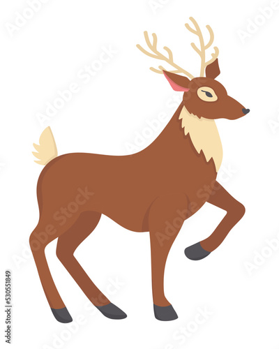 Doodle flat clipart. Graceful forest deer. All objects are repainted.