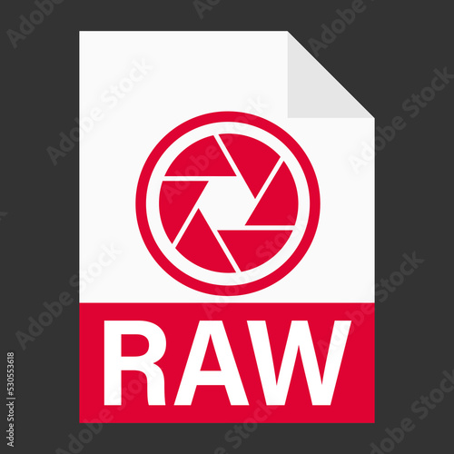 Modern flat design of RAW file icon for web